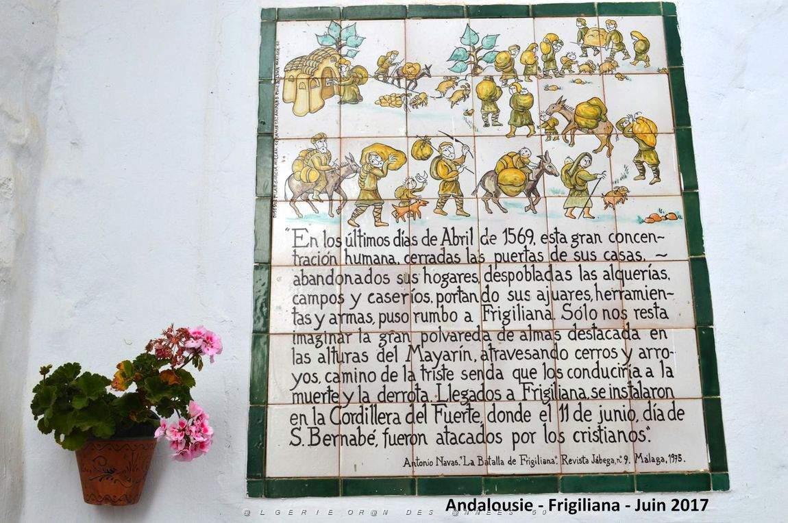 559 - Frigiliana.JPG